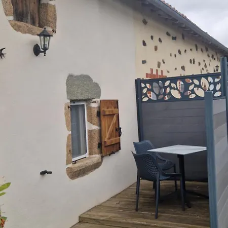 Les Orchidees * Montournais